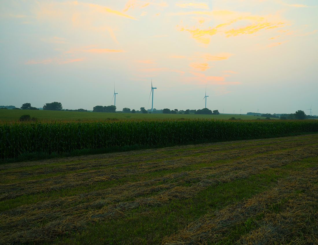 Listing Photo: Lee County Land Sale